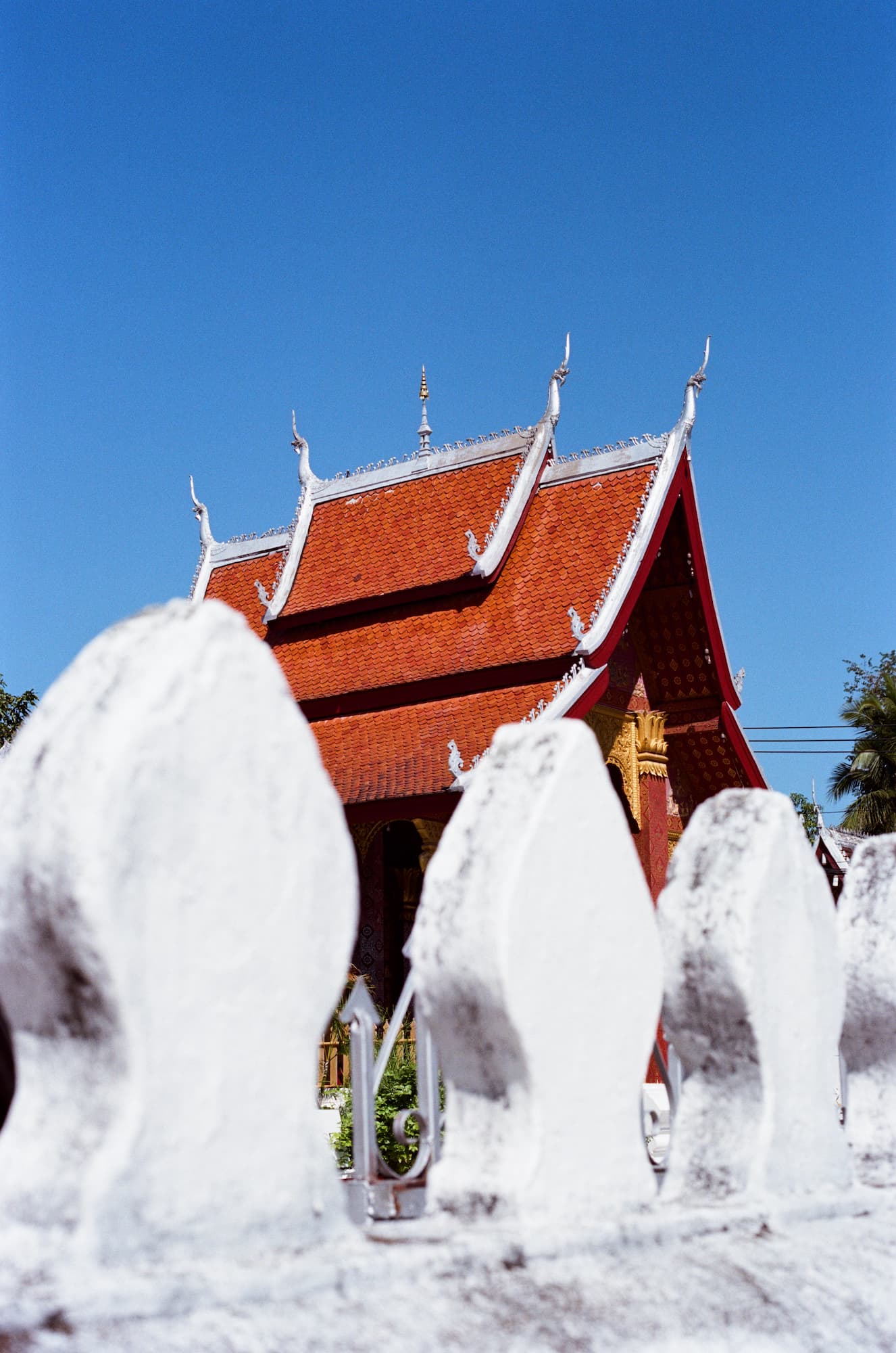 Kodak Portra 160, Behind the Temple Walls