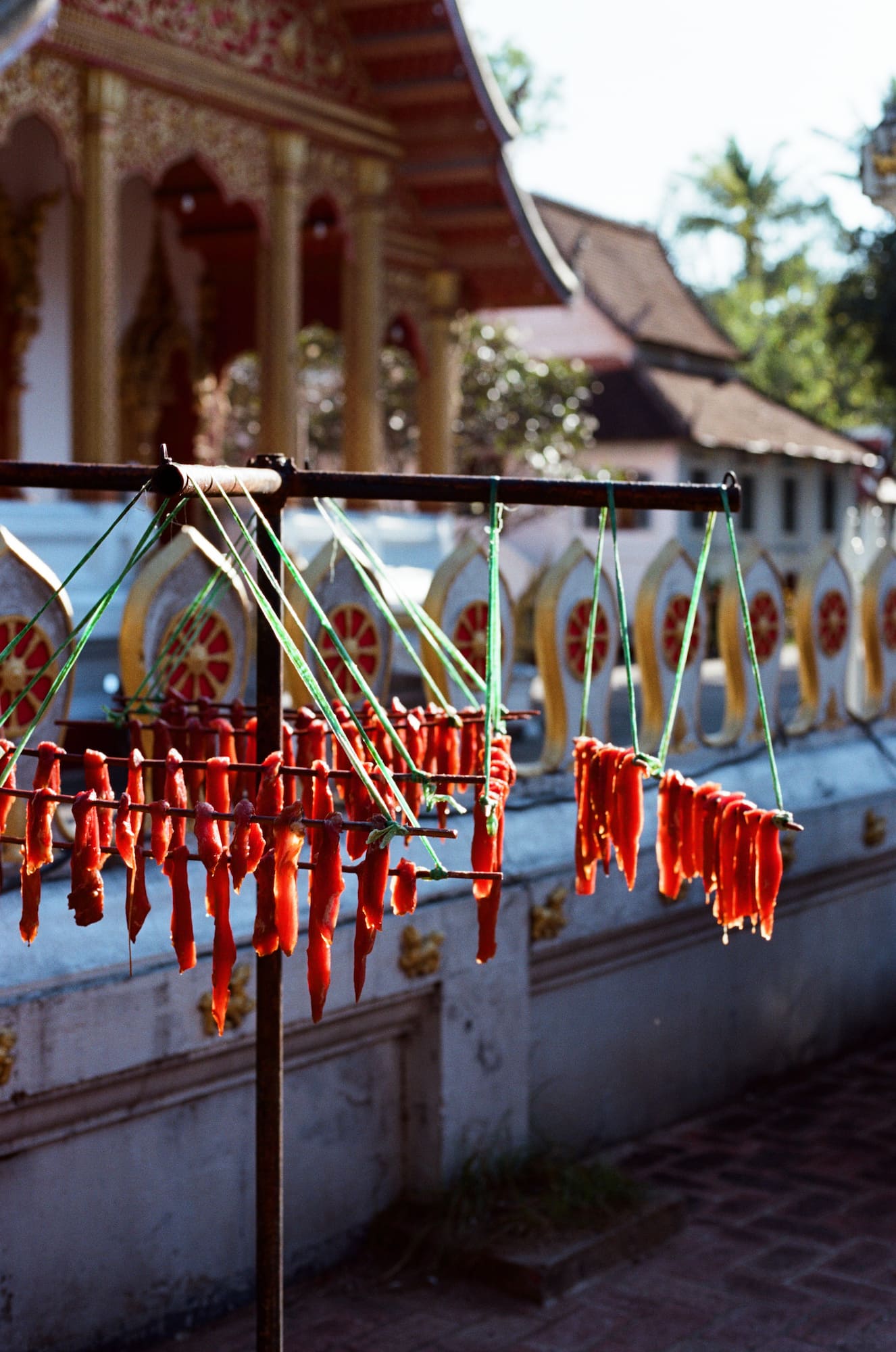 Kodak Portra 160, Pork Dried in the Sun